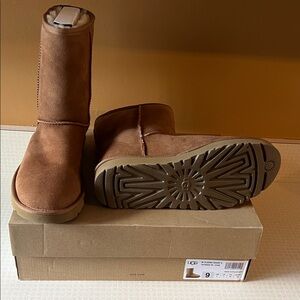 UGG Chestnut Suede Boots